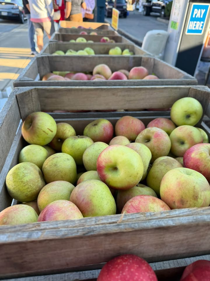 Oxford Farmers Market Uptown