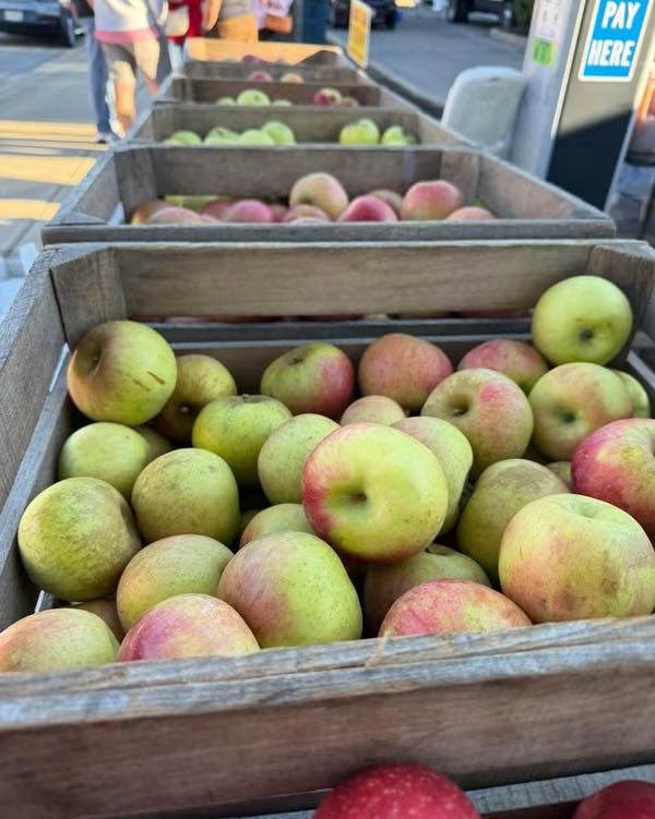 Oxford Farmers Market Uptown
